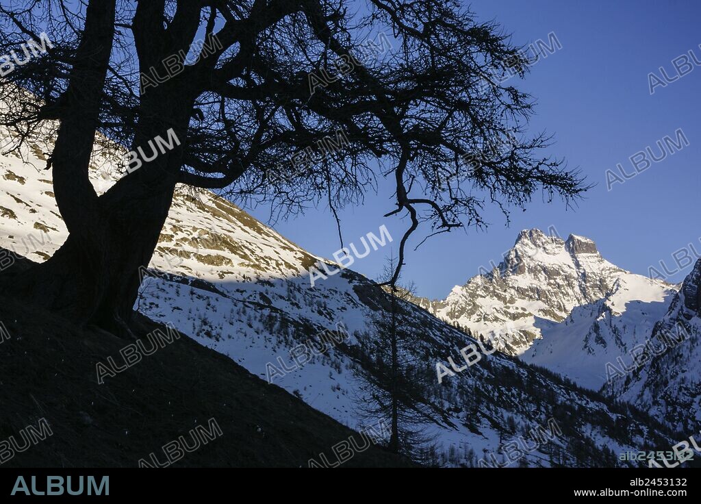 monte Viso, 3841 mts, Valle del Guil,Alpes,parque natural Queyras,Francia-Italia, Europa.
