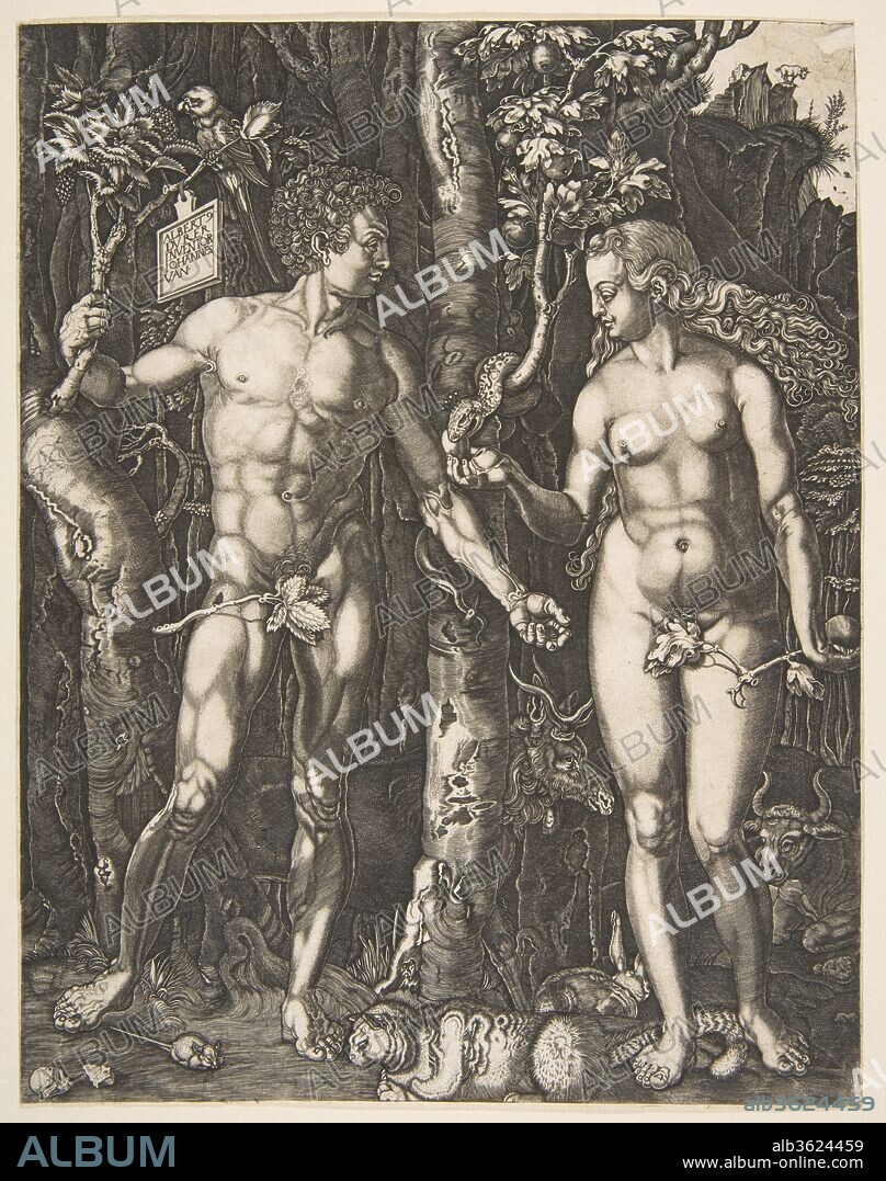 AFTER ALBRECHT DÜRER. Adam and Eve. Artist: After Albrecht Dürer (German, Nuremberg 1471-1528 Nuremberg). Dimensions: Sheet: 9 1/2 × 7 7/16 in. (24.2 × 18.9 cm). Date: n.d..