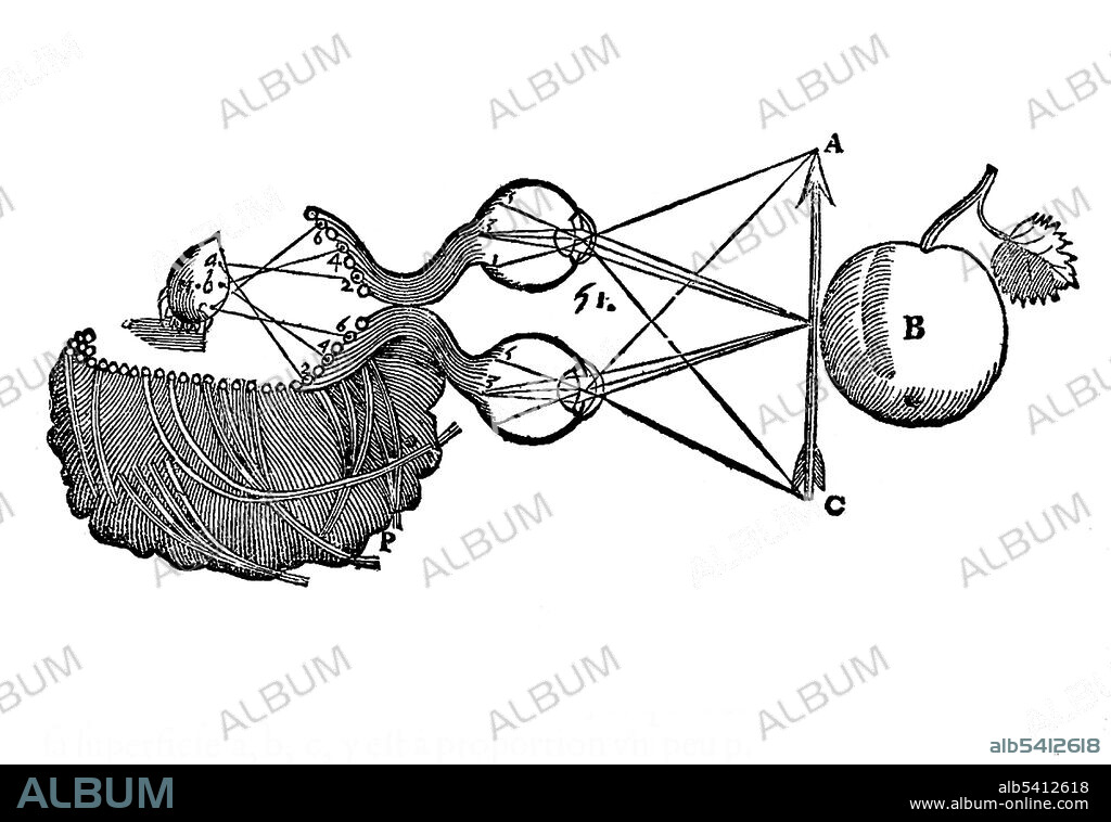 Rene Descartes, Perception, 1633