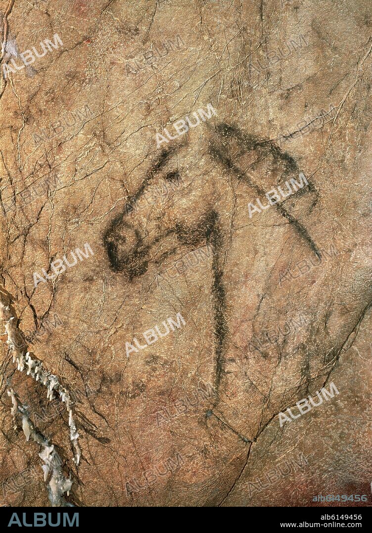 PINTURA RUPESTRE - CABEZA DE CABALLO DE LA CUEVA DE TITO BUSTILLO - PALEOLITICO SUPERIOR.