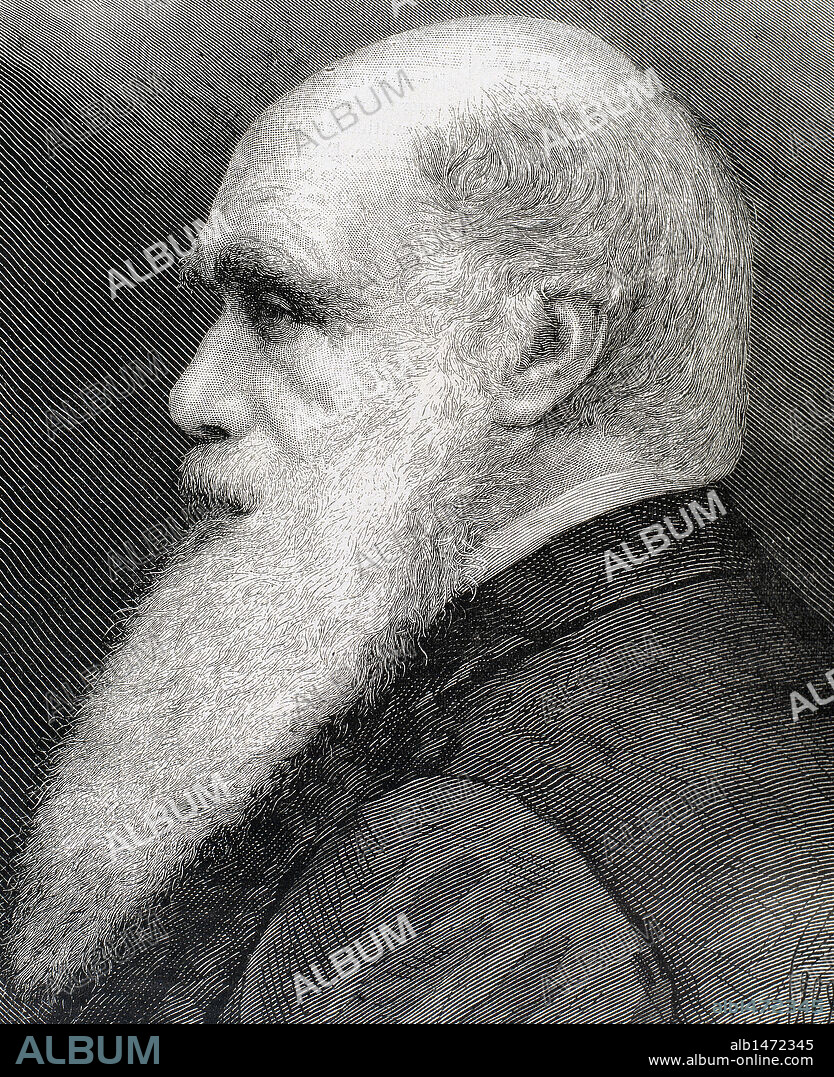 CHARLES ROBERT DARWIN (1809-1882). Naturalista británico. Autor de la obra 'El origen de las especies', publicada en el año 1859. S. XIX. Grabado.
