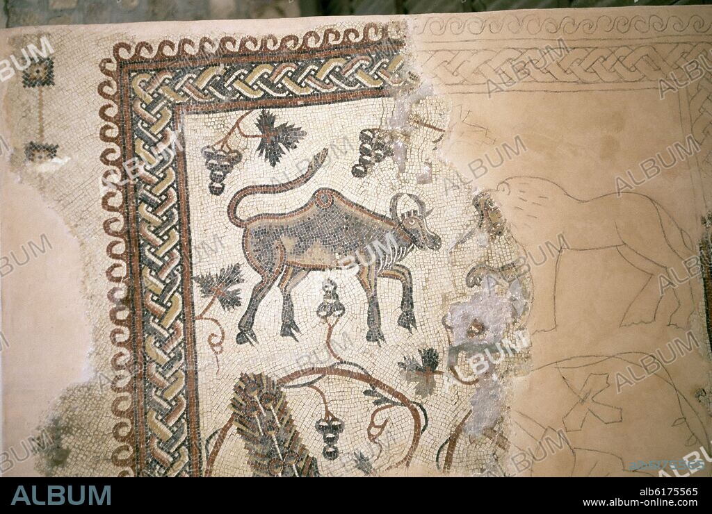 MOSAICO PALEOCRISTIANO DE LA BASILICA DE NEBO.