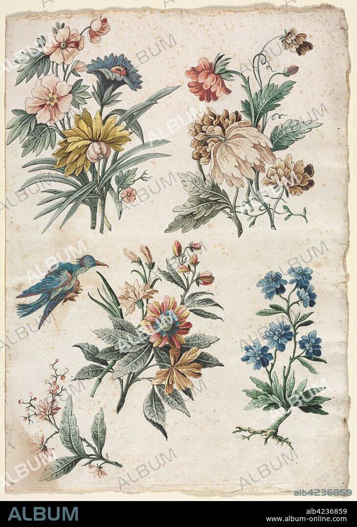 Floral Designs with a Blue Bird, c. 1773/74. Giacomo Cavenezia (Italian). Pen and black and brown ink, brush and black and brown wash, watercolor and gouache, over traces of black chalk; sheet: 32.3 x 22.8 cm (12 11/16 x 9 in.).