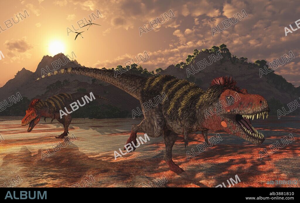 A pair of carnivorous Tarbosaurus dinosaurs scavaging for food during the Cretaceous period.