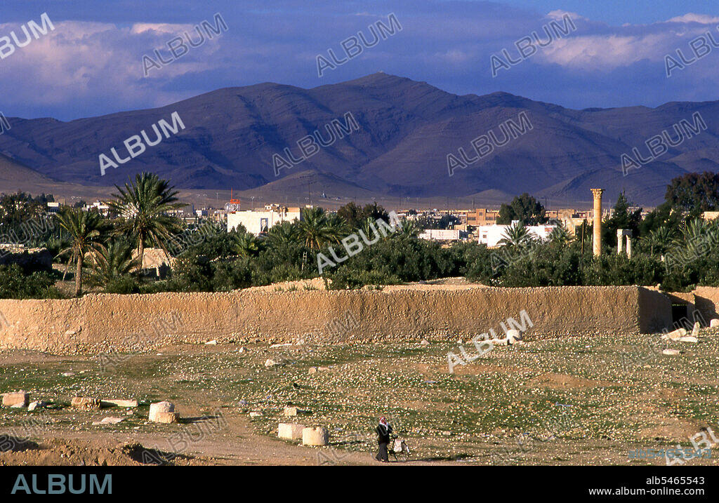 Palmyra was an ancient city in Syria. It was an important city in central Syria, located in an oasis 215 km northeast of Damascus and 180 km southwest of the Euphrates at Deir ez-Zor. It had long been a vital caravan city for travellers crossing the Syrian desert and was known as the Bride of the Desert. The earliest documented reference to the city by its Semitic name Tadmor, Tadmur or Tudmur (which means 'the town that repels' in Amorite and 'the indomitable town' in Aramaic) is recorded in Babylonian tablets found in Mari.