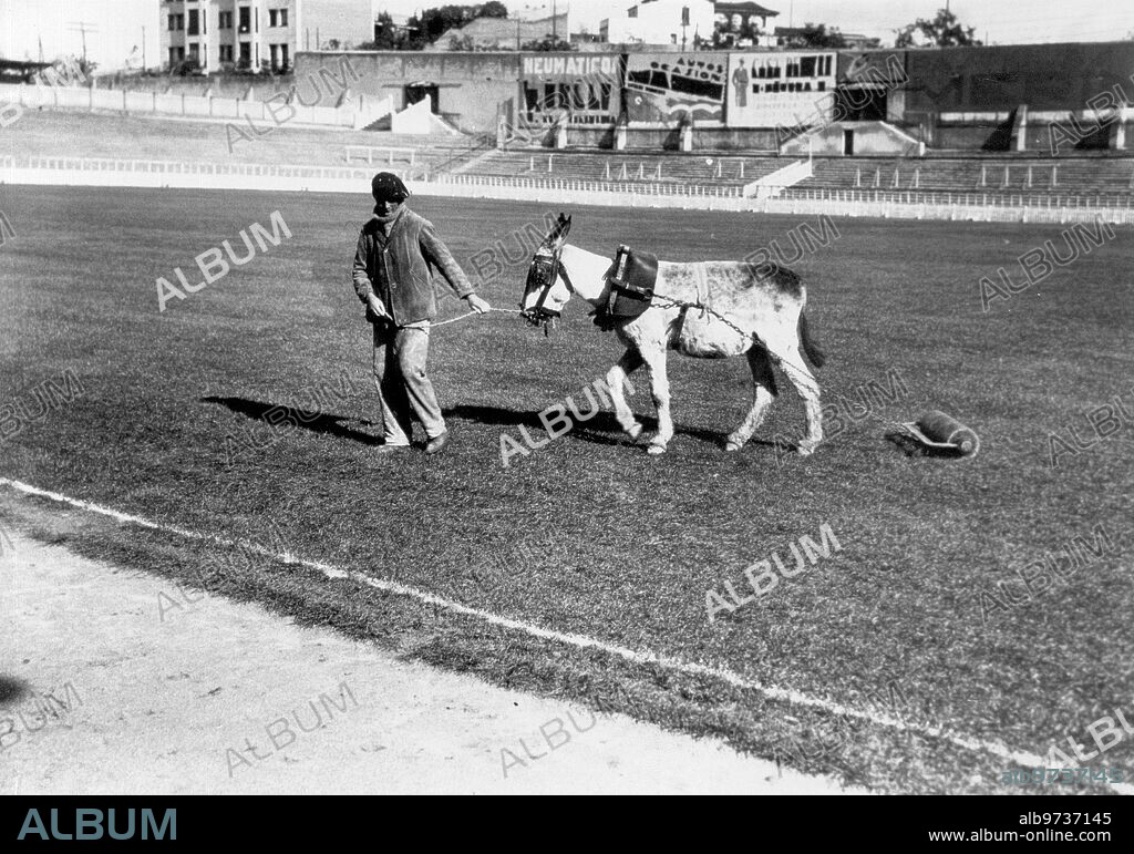 Madrid. 1925 (CA.). Un jardinero del Real Madrid, mantenía el césped del estadio Chamartín con un burro que alisaba el terreno.