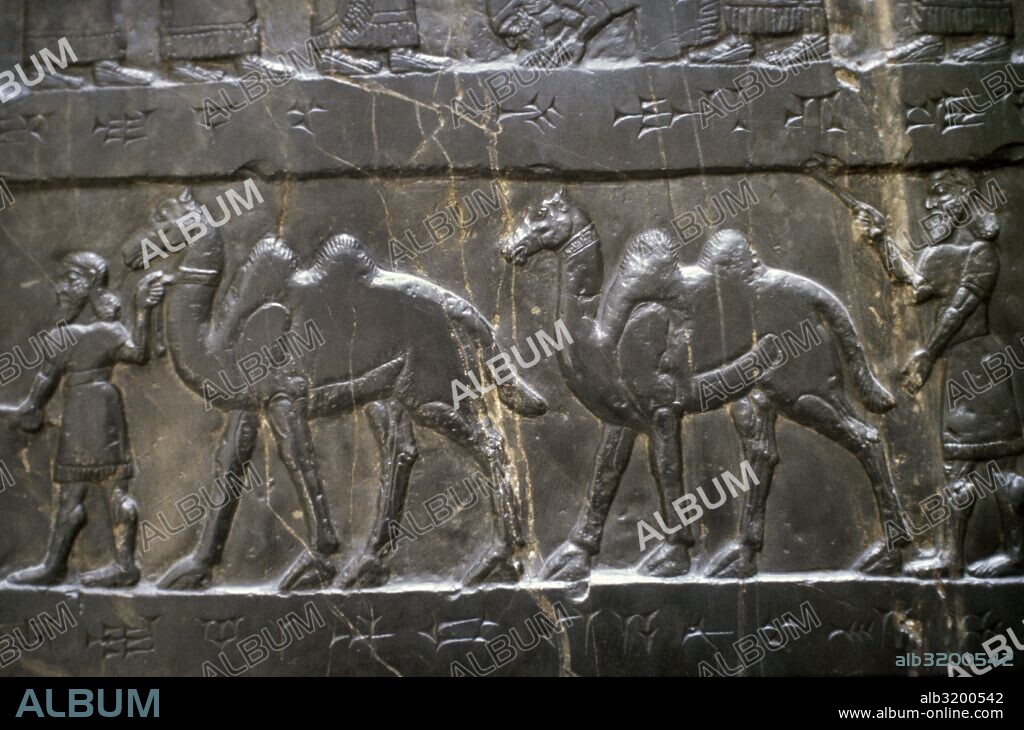 ARTE MESOPOTAMICO-ASIRIO. OBELISCO NEGRO DE SALMANASAR o SALMANESER III. Realizado en alabastro negro y con una altura de 2 m. Cada una de sus cuatro caras muestra escenas de relieve, narrando campañas militaresy la obtención de tributos. Datado hacia el 827 a. C. TRIBUTOS OBTENIDOS AL REY DE ISRAEL, JEHU. Detalle. British Museum. Londres. Reino Unido.