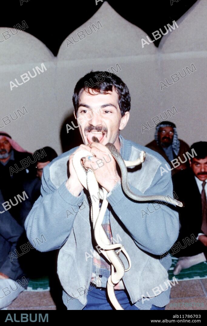 A Dervish of the Sufi school of Tariqa Casnazaniyyah, taking part in a study into healing of major wounds, at Paramann Programme Labs, Jordan. He is being bitten by poisonous snakes.