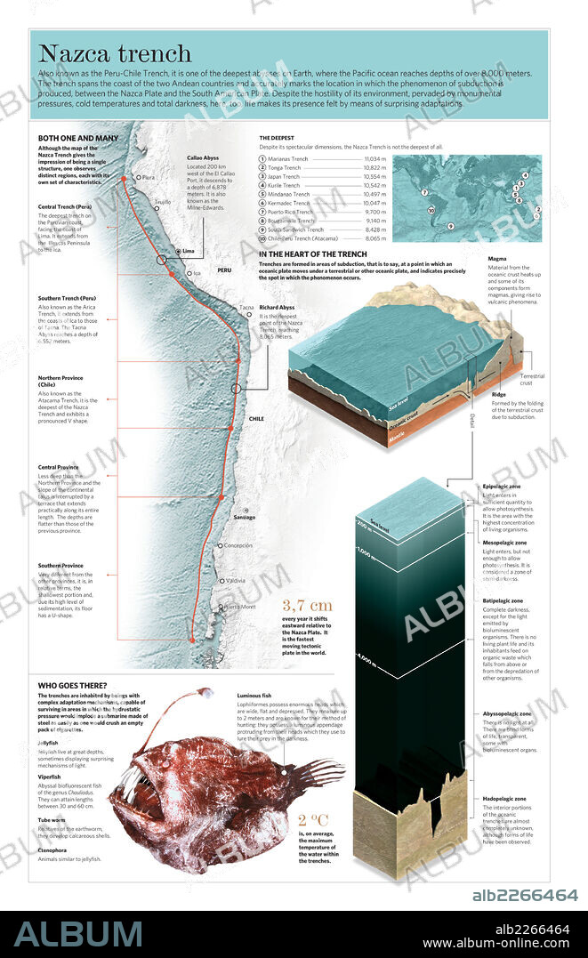 La fosa de Nazca. Infografía de las características físicas y la fauna de la fosa de Nazca, en la costa andina del océano Pacífico.