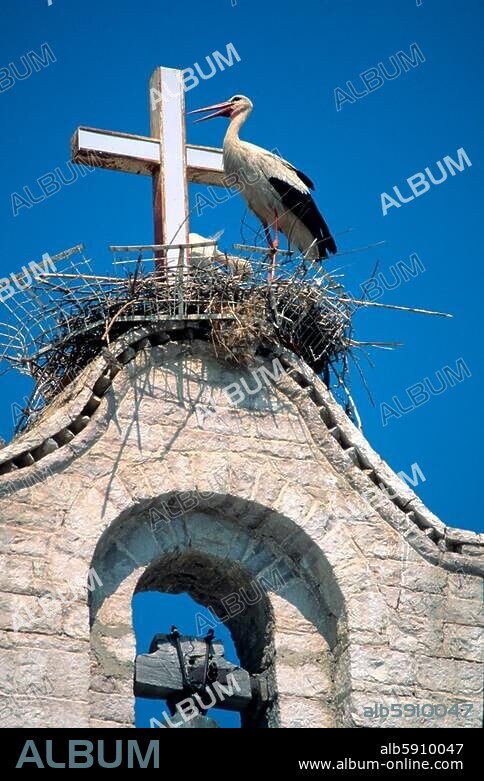 Zoologie / Vögel:. Storch. Storchennest auf einer Kirche in Arta (Epirus, Griechenland). Foto, August 2006.