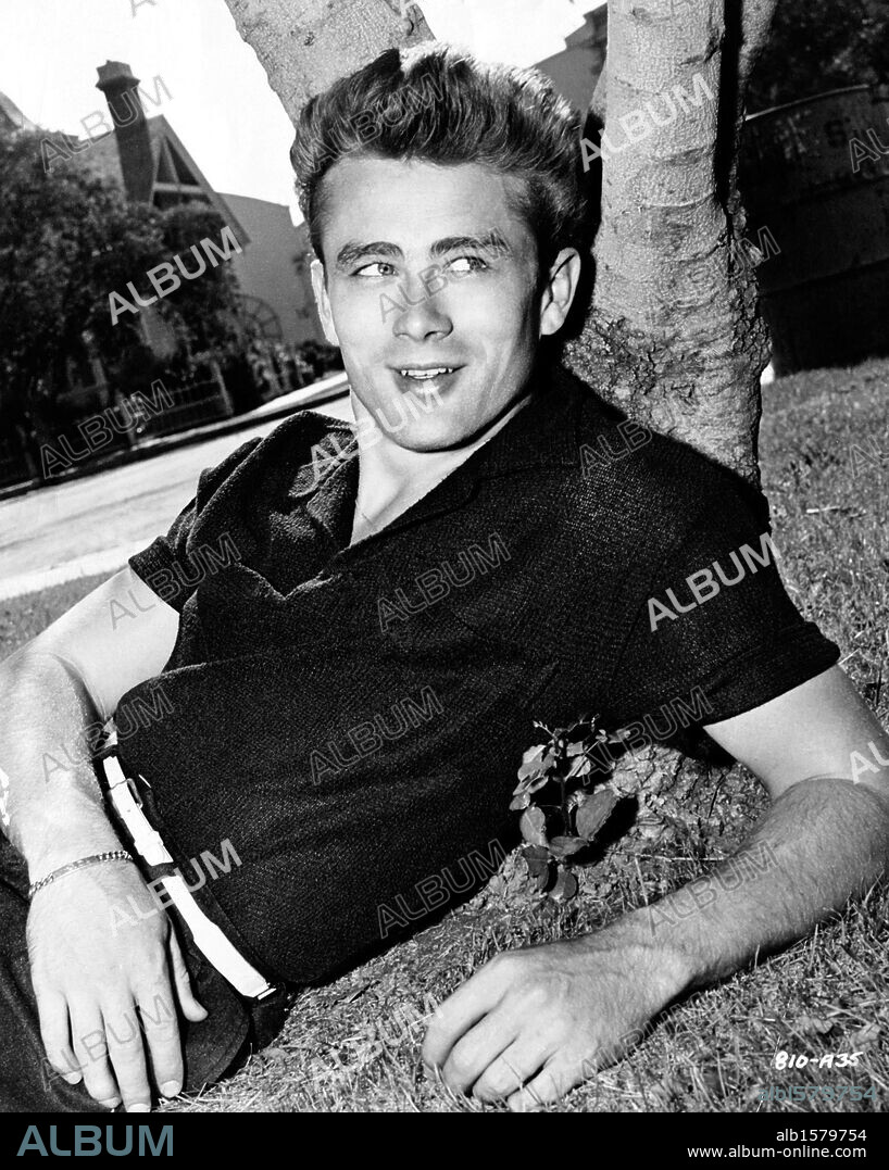 JAMES DEAN in REBEL WITHOUT A CAUSE, 1955, directed by NICHOLAS RAY. Copyright WARNER BROTHERS.