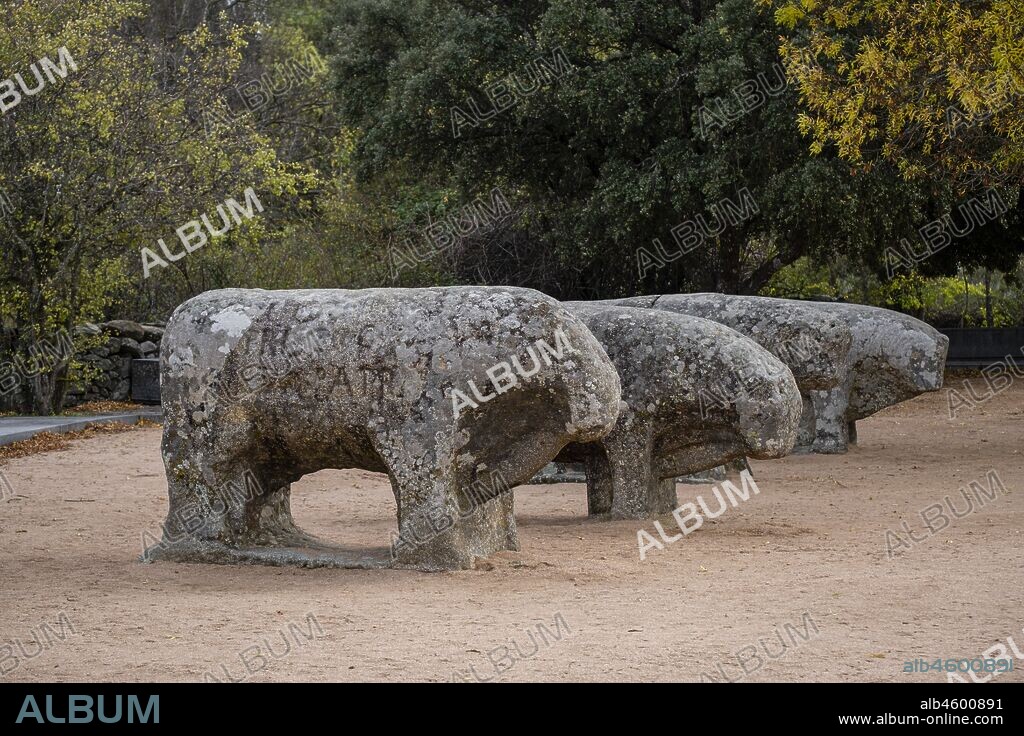 Toros de Guisando ,conjunto escultórico vetón, siglos IV y III antes de Cristo, Edad del Hierro, Ávila, provincia de Ávila, comunidad autónoma de Castilla y León, Spain.
