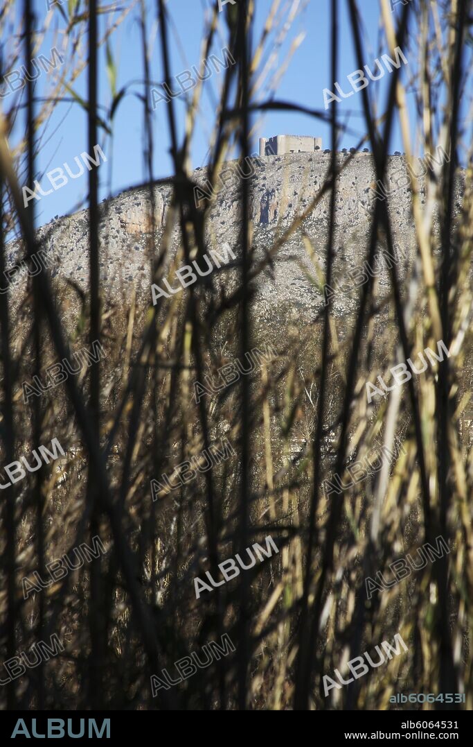 Torroella de Montgrí; cañas en la ribera del río Ter y castillo en la cima del Montgrí.