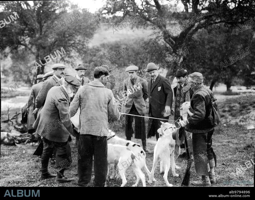 El Pardo (Madrid), 22/01/1908.  S. M. el Rey D. Alfonso XIII contemplando los perros utilizados en la cacería.