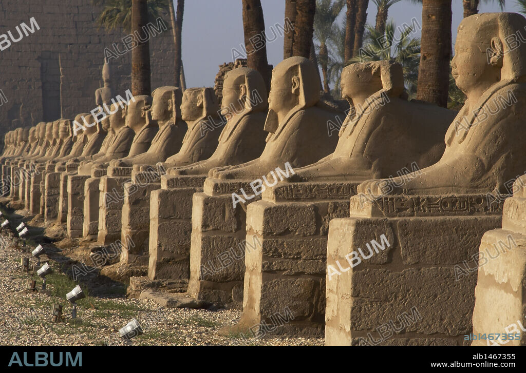 ARTE EGIPCIO. EGIPTO. TEMPLO DE LUXOR. Vista general del tramo de la AVENIDA DE LAS ESFINGES criocéfalas. El Templo de Luxor estaba unido al de Karnak por un largo "dromos" flanqueado por esfinges. Imperio Nuevo. Al fondo el primer pilono o entrada monumental construida por Ramses II. Antigua Tebas "Waset".