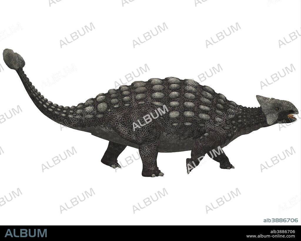 A huge armored dinosaur, Ankylosaurus was a herbivore from the Cretaceous Period.
