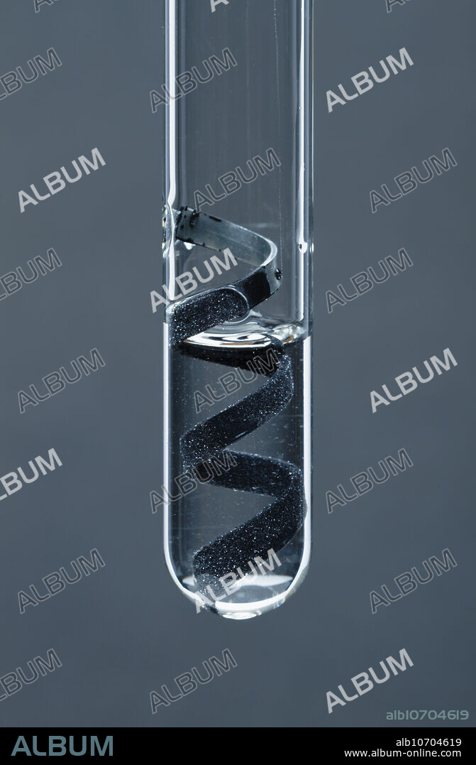 Zinc reacting with lead (II) nitrate, 2 of 4. Zinc coil was placed in a test tube (Photo 1). 0.5 M solution of lead (II) nitrate solution was then added to the test tube. Since zinc is more reactive than silver, a single-displacement reaction occurred: Zn + Pb(NO3)2 -> Pb + Zn(NO3)2. Photo 2 was taken few seconds after adding lead nitrate, Photo 3 - after about 2 min, Photo 4 - after about 12 min.