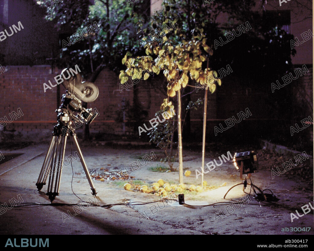 EL SOL DEL MEMBRILLO, 1992, unter der Regie von VICTOR ERICE. Copyright MARIA MORENO.