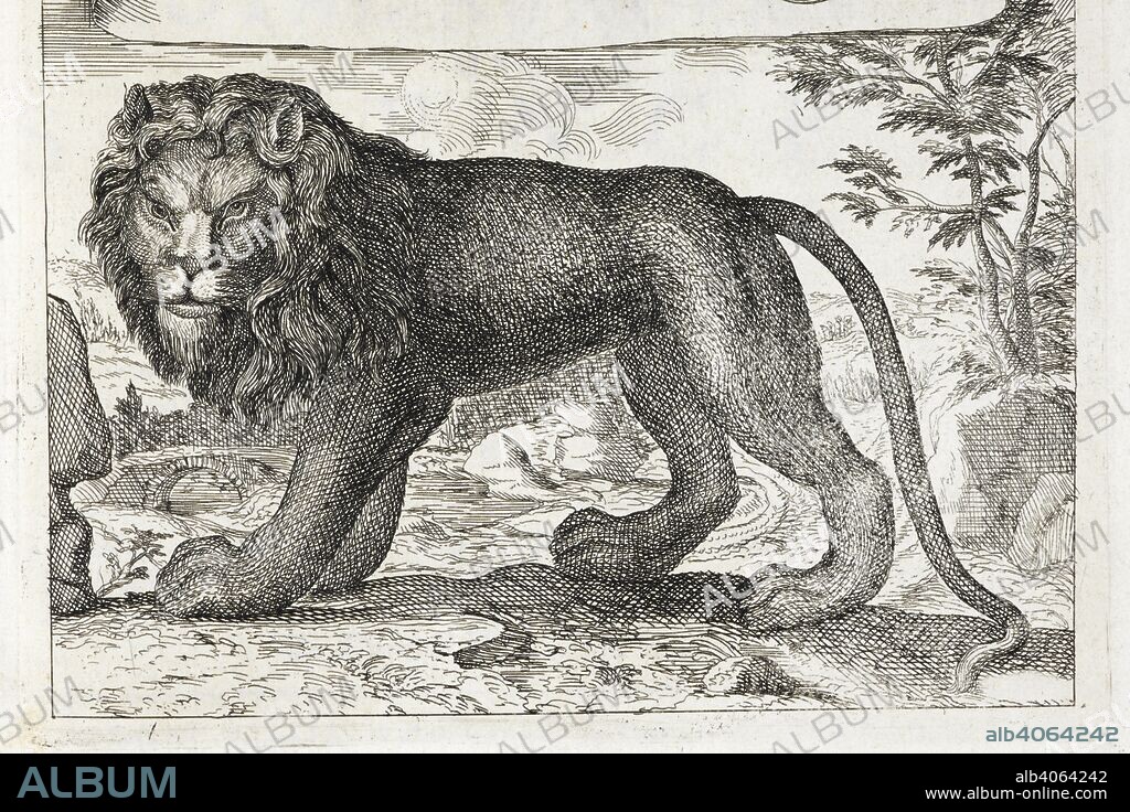 Engraving of a lion. Memoirs for a Natural History of Animals. Containing the anatomical descriptions of several creatures dissected by the Royal Academy of Sciences at Paris. [A translation of Claude Perrault's â€œMeÌmoires pour servir aÌ€ l'histoire naturelle des animaux.â€] Englished by Alexander Pitfield ... London : Printed by Joseph Streater; sold by T. Basset, etc., 1688. Source: 1484.m.38 frontispiece.