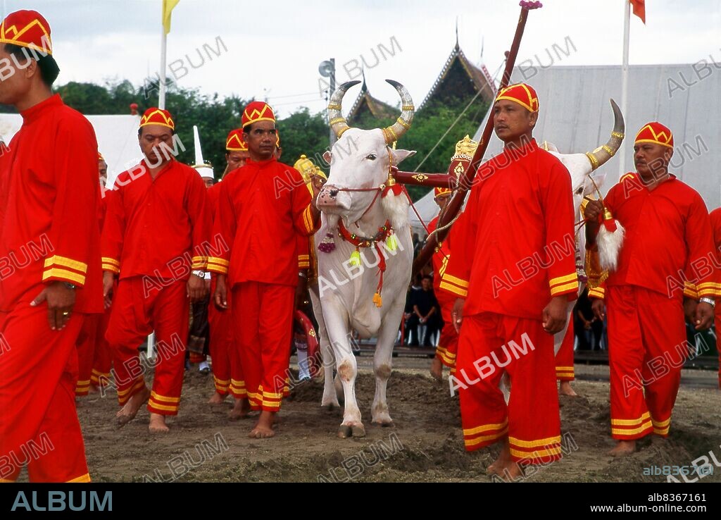 The Royal Ploughing Ceremony is an ancient Brahman ritual held each year in Bangkok at Sanam Luang in front of the Grand Palace. The event is performed to gain an auspicious start to the rice growing season. Sacred white oxen plough the Sanam Luang field, which is then sown with seeds blessed by the king. Farmers then collect the seeds to replant in their own fields. This ceremony is also performed in Cambodia and Sri Lanka.