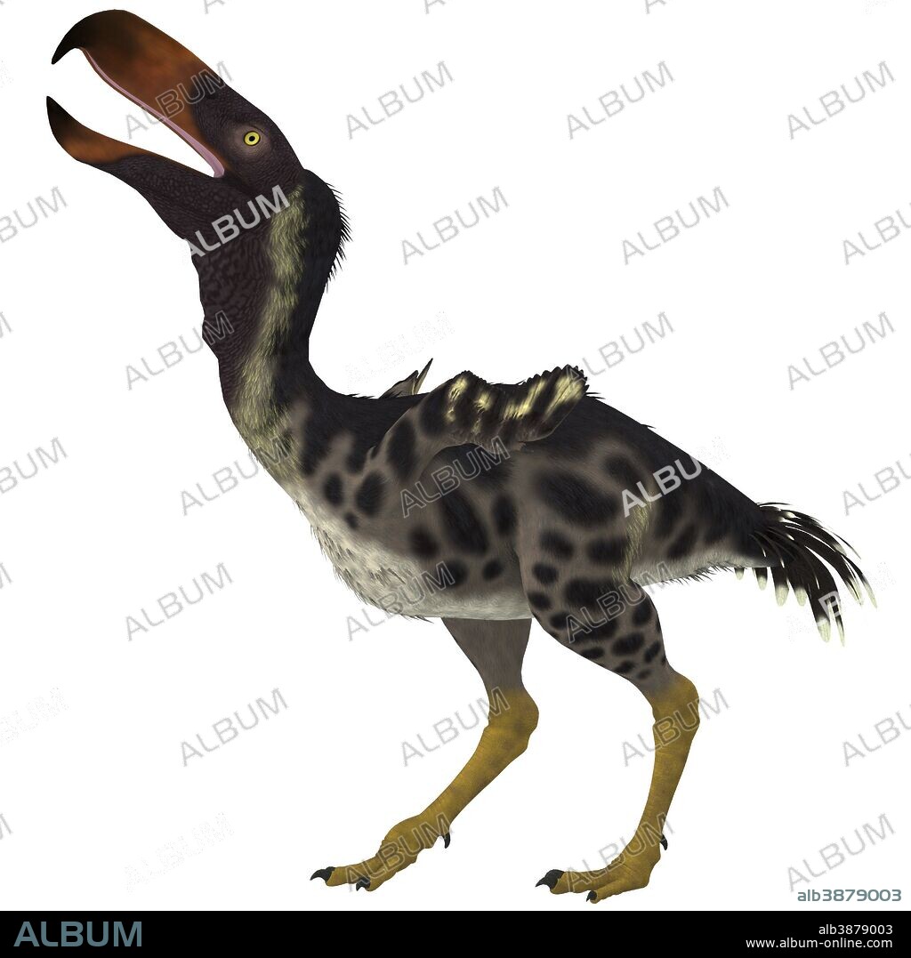Kelenken is an extinct genus of giant flightless predatory birds that are called terror birds from the Miocene epoch.