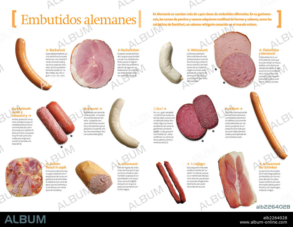embutidos alemanes. Infografía de los embutidos típicos de Alemania.