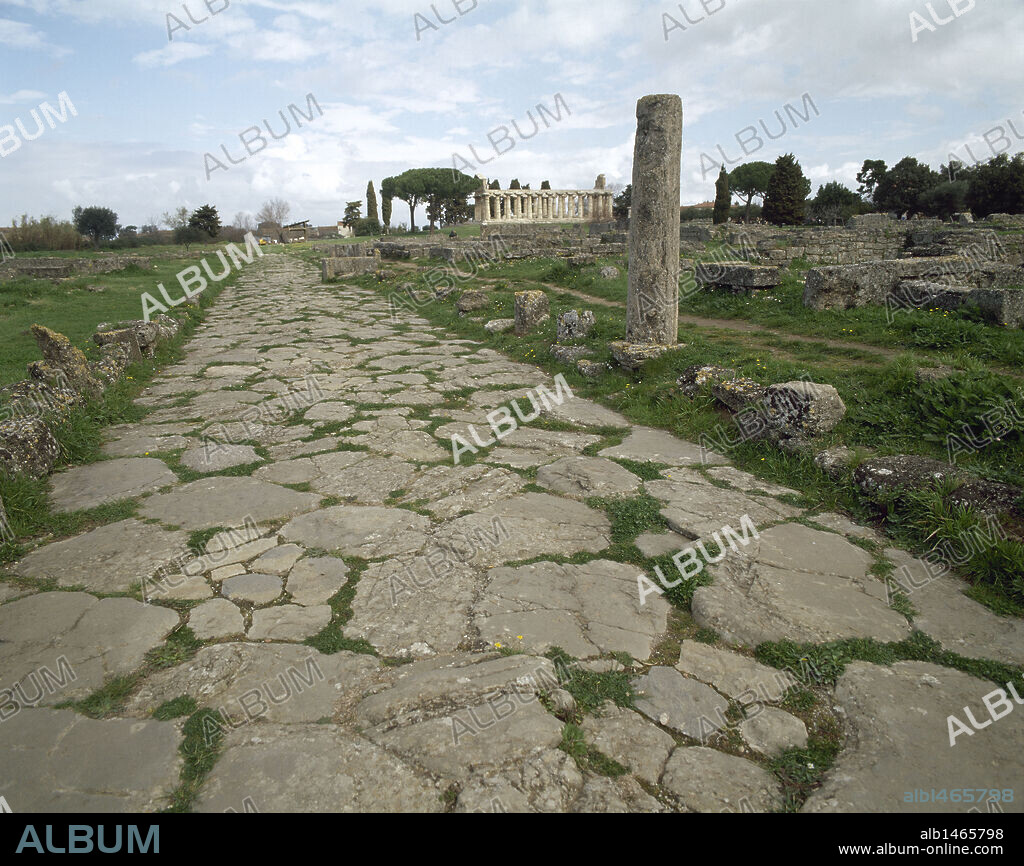 ARTE GRIEGO. MAGNA GRECIA. ITALIA. PAESTUM (antigua ciudad griega de Poseidonia o Posidonia). Vista general de la zona arqueológica pertenecinete a la antigua ciudad de época griega. En primer término calzada. Al fondo el Templo dedicado a Atenea, también llamado de Ceres. La Campania. Sur de Italia. Europa.