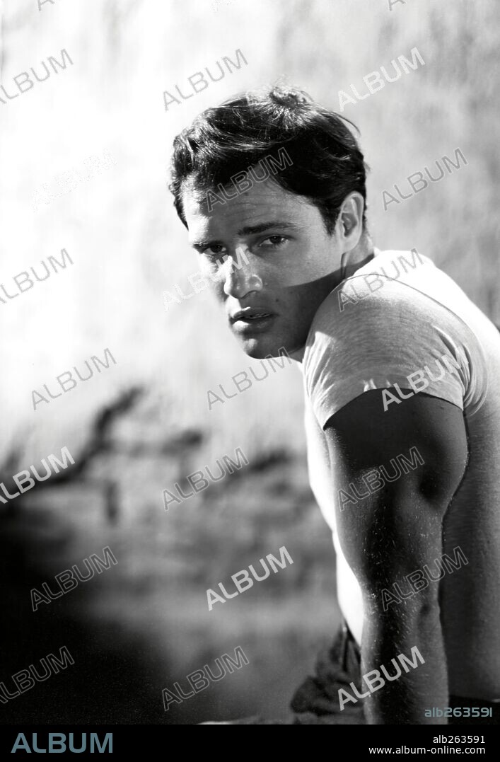 MARLON BRANDO in A STREETCAR NAMED DESIRE, 1951, directed by ELIA KAZAN. Copyright WARNER BROTHERS.