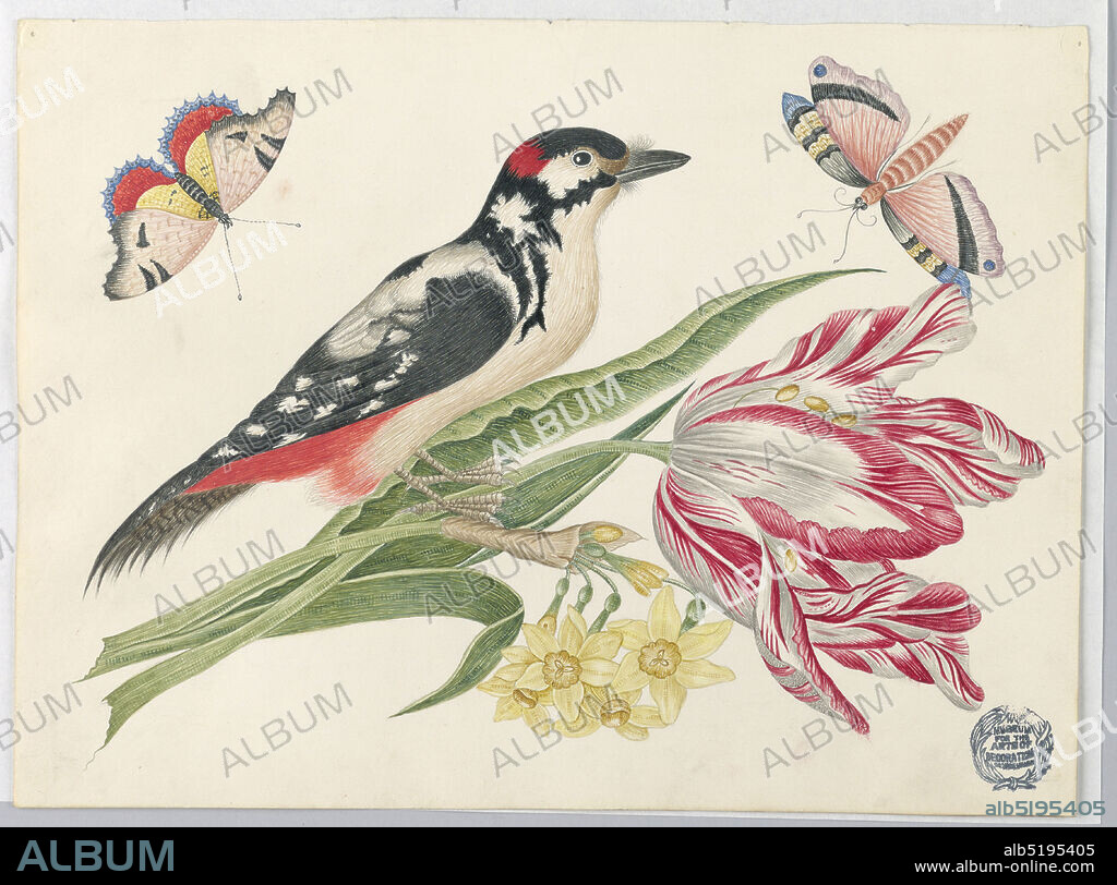 Black-and-White Mottled Bird on Tulip Stem, with Daffodils and Butterflies, Pen and ink, graphite on coated wove paper, Black-and-White Mottled Bird on Tulip Stem, with Daffodils and Butterflies, ca. 18001830, Drawing, Drawing.