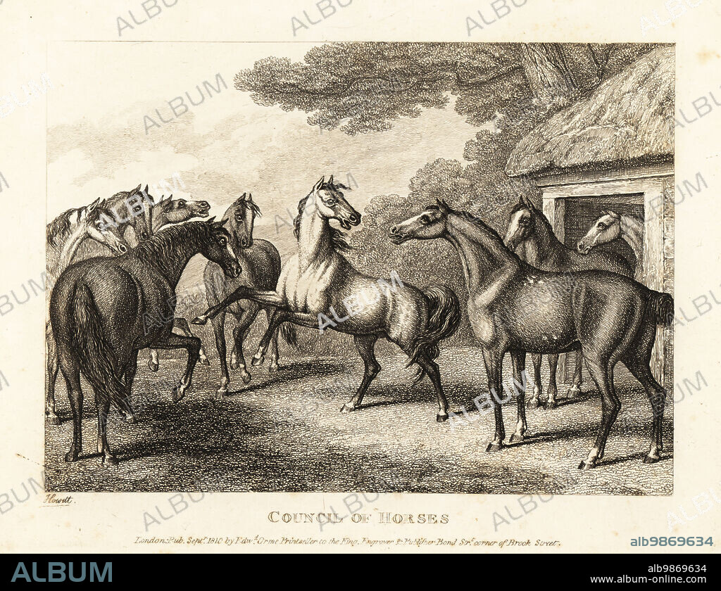 A young colt tries to stir a mutiny in the stables. Council of horses. Illustration of a fable by English poet John Gay. Copperplate etching drawn and engraved from life by Samuel Howitt from his own A New Work of Animals, Principally Designed from the Fables of Aesop, Gay and Phaedrus, Edward Orme, London, 1811.