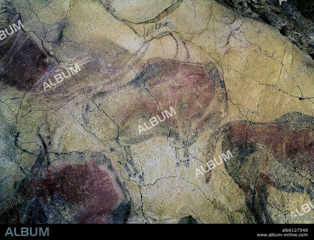BISONTE DE LAS CUEVAS DE ALTAMIRA - PINTURA RUPESTRE - PALEOLITICO SUPERIOR - PERIODO MAGDALENIENSE.