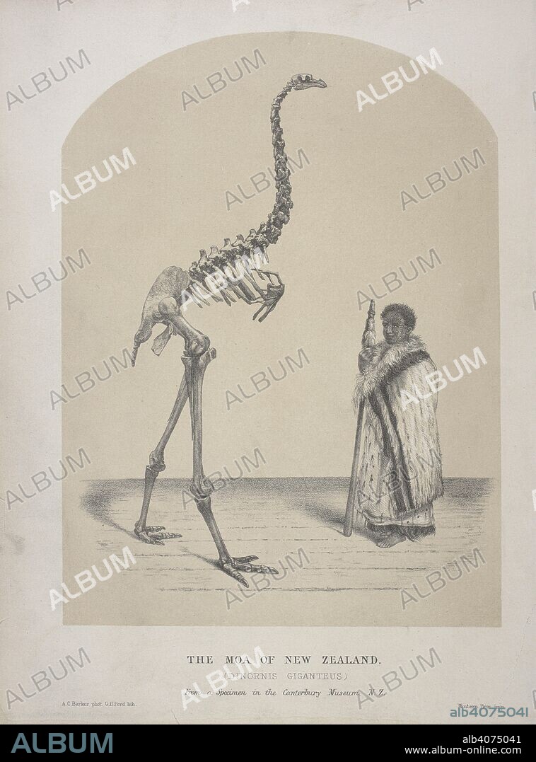 BULLER WALTER LAWRY SIR and A. C. BARKER. The moa of New Zealand