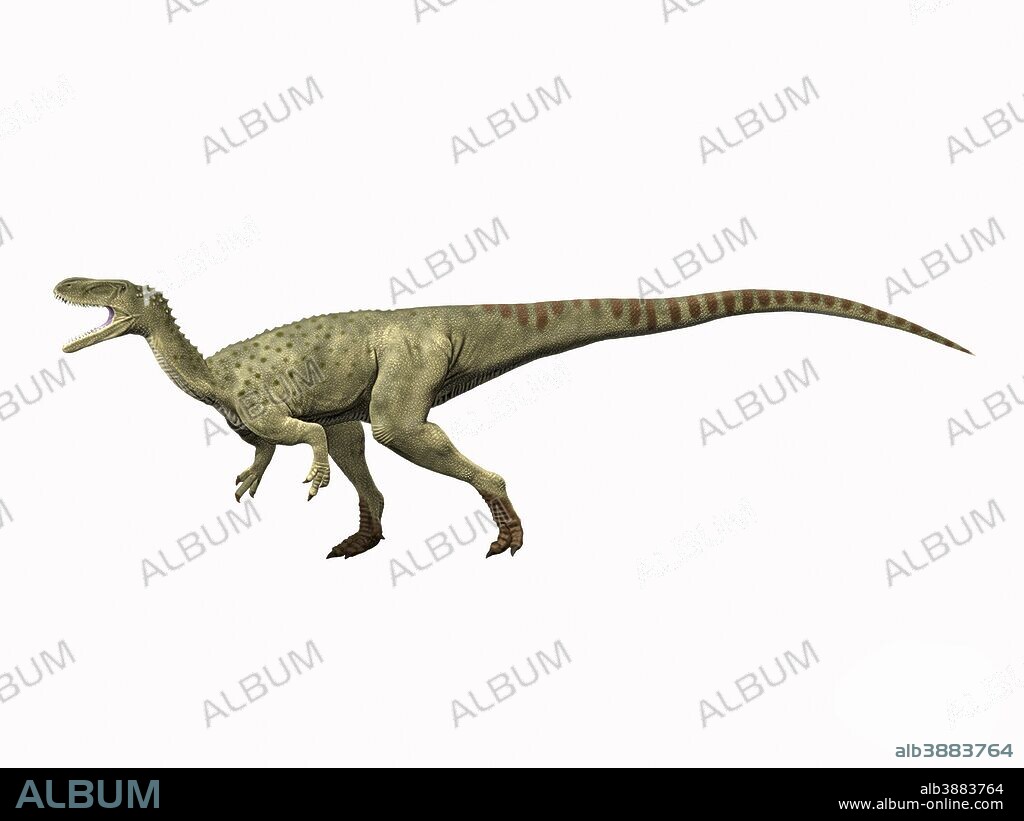 Spinostropheus gautieri, Middle Jurassic of Niger.