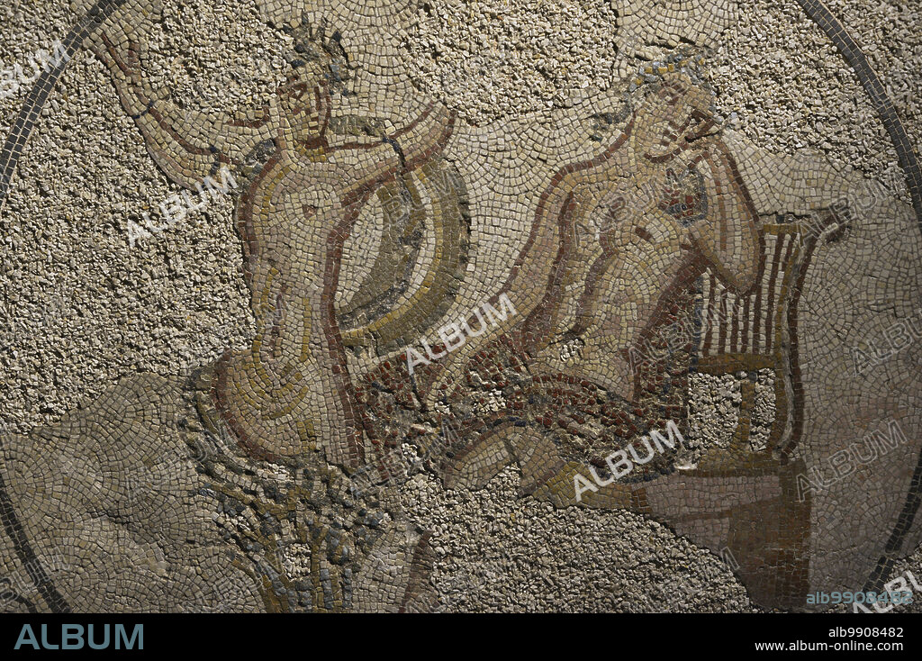 Apollo and Daphne. Roman mosaic panel. 3rd-4th centuries AD. Detail. From Torre de Palma Lusitan-Roman villa, Monforte, Portalegre district, Portugal. National Archaeology Museum. Lisbon, Portugal.