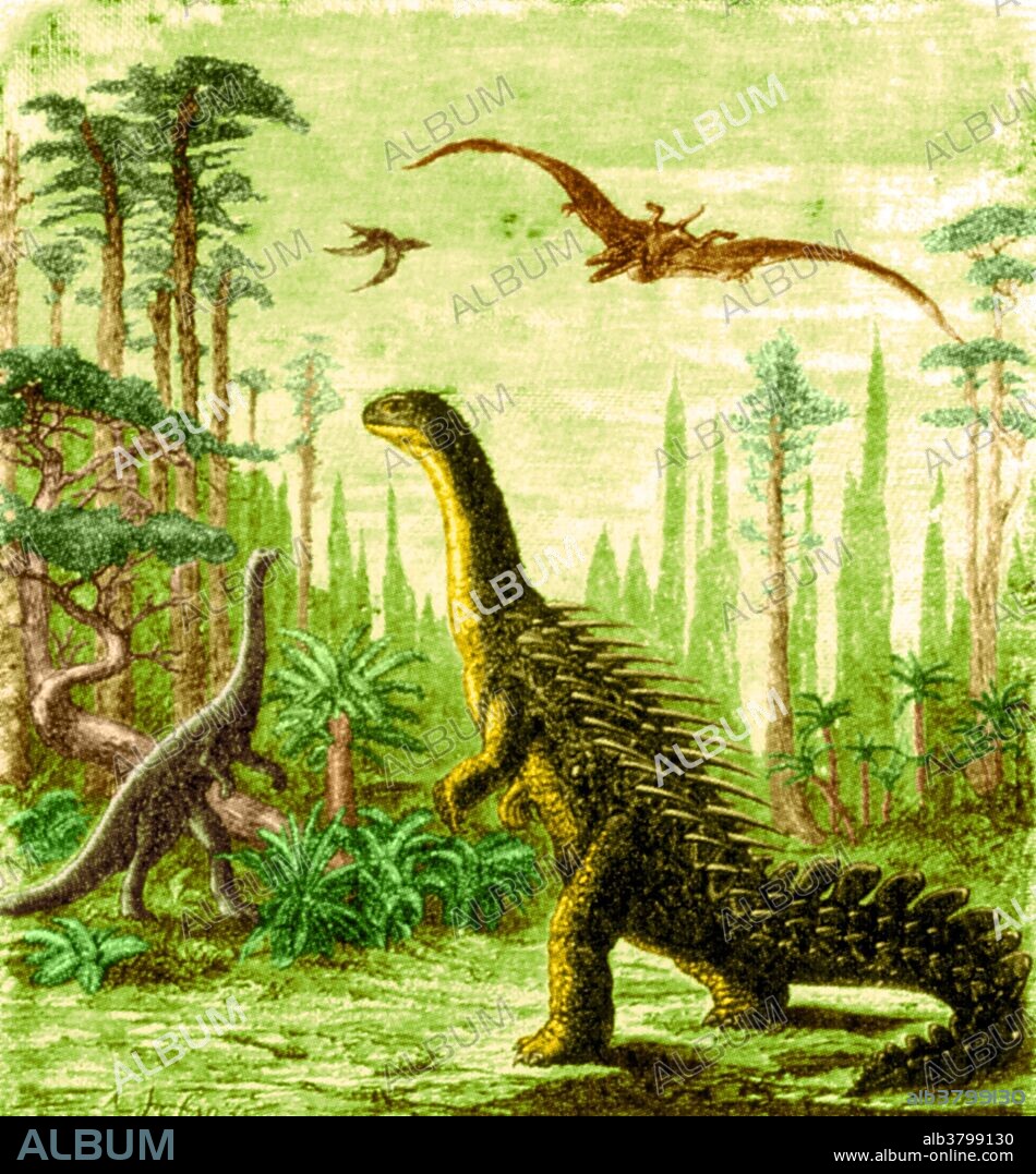 Dinosaurs of the Jurassic Period: a Stegosaurus with a Compsognathus. This inaccurate etching shows an early attempt to reconstruct a plated dinosaur, with hedgehog spines instead of bony plates. Stegosaurus means "roof lizard" or "plated lizard". One of the various plated dinosaurs (Stegosauria) of the Late Jurassic Period (159 million to 144 million years ago) recognizable by its spiked tail and series of large triangular bony plates along the back. Stegosaurus usually grew to a length of about 21 feet, but some reached 30 feet. The skull and brain were very small for such a large animal. The forelimbs were much shorter than the hind limbs, which gave the back a characteristically arched appearance. The feet were short and broad. They are classified as a quadrupedal herbivorous ornithischian dinosaur. Compsognathus is a genus of small, bipedal, carnivorous theropod dinosaurs. Members of its single species Compsognathus longipes could grow to the size of a turkey.