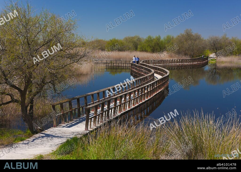 Tablas de Daimiel National Park - wetland and boardwalk, Ciudad Real province, Region of Castilla - La Mancha, Spain, Europe.