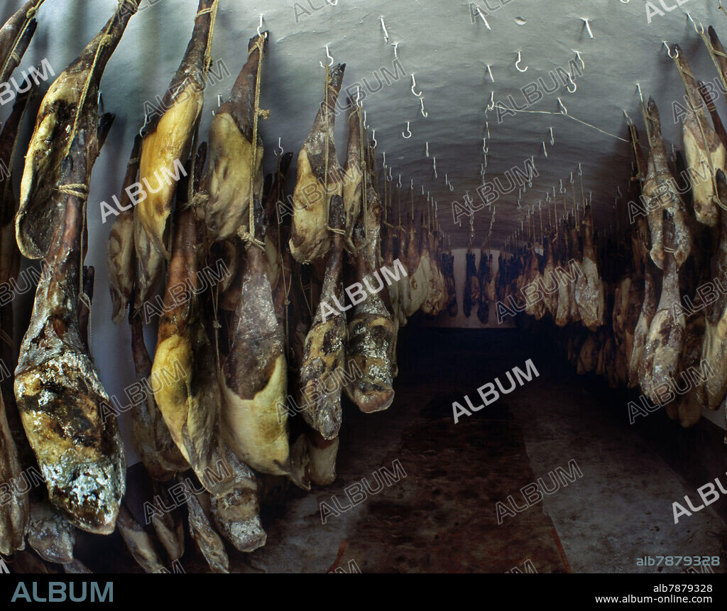 CURADERO DE JAMONES.