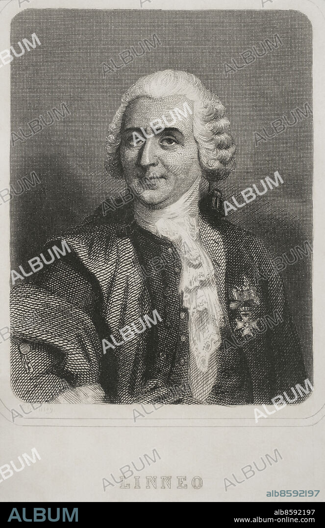 CHARLES GEOFFROY (1819-1882). FRENCH ENGRAVER.. Carl Linnaeus (1707-1778). Swedish naturalist and botanist. He established binomial nomenclature. Portrait. Engraving by Geoffroy. "Historia Universal", by César Cantú. Volume VI. 1857.