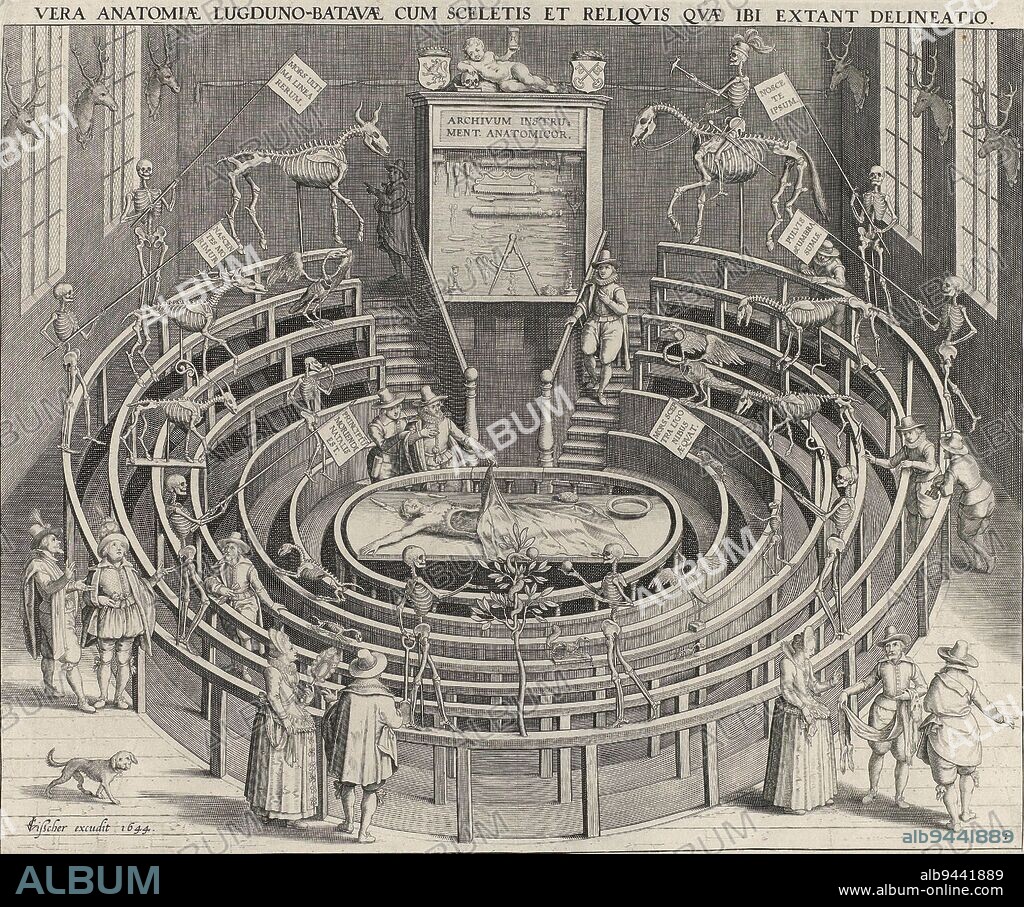 Anatomical theater of the University of Leiden. Several spectators are present at the anatomy lesson. Skeletons of people and animals hang in the room. Print no. 1 in a series of four views of the University of Leiden, later used as an illustration in the supplement to Meursius' book on the University of Leiden, Anatomical theater of the University of Leiden Vera anatomiae Lugduno-Batavae cum sceletis et reliquis quae ibi extant delineatio Four views of the University of Leiden (series title), print maker: Willem Isaacsz. van Swanenburg, intermediary draughtsman: Jan Cornelisz. van 't Woudt, publisher: Claes Jansz. Visscher (II), (mentioned on object), Northern Netherlands, 1610 and/or 1644, paper, etching, engraving, h 330 mm × w 396 mm.