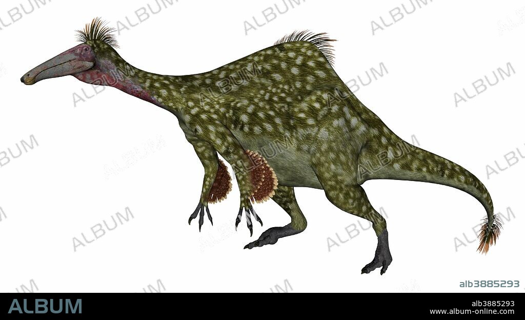 Deinocheirus dinosaur isolated on white background.