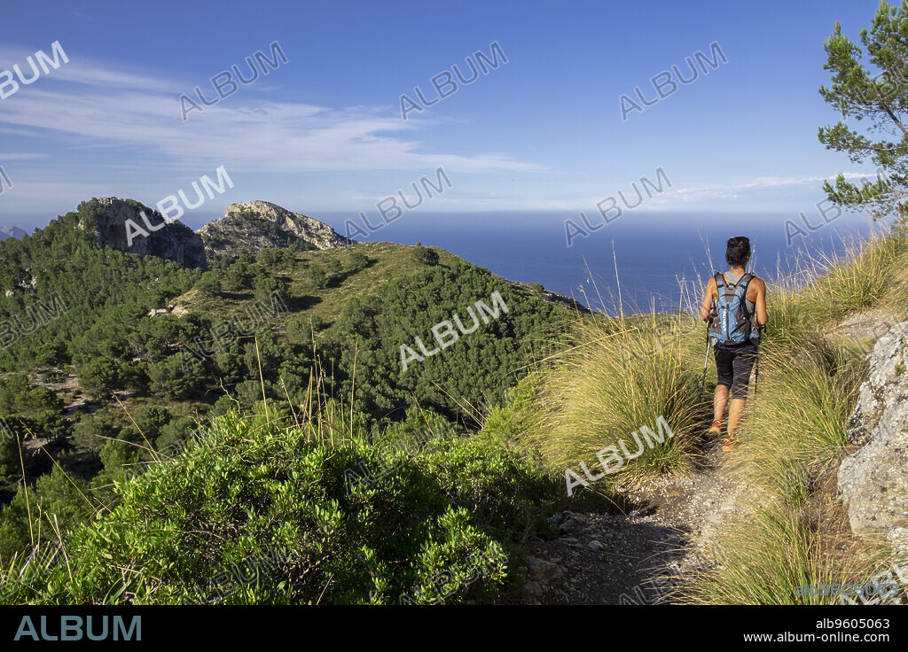senda del Puig de Sa Talaia, área natural de la Victòria, Alcúdia, Mallorca, balearic islands, Spain.