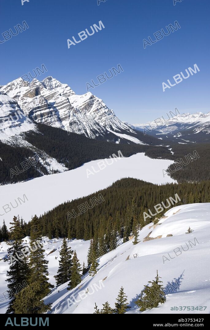 Peyto Lake, Bow Summit, Banff National Park, UNESCO World Heritage Site, Rocky Mountains, Alberta, Canada, North America.
