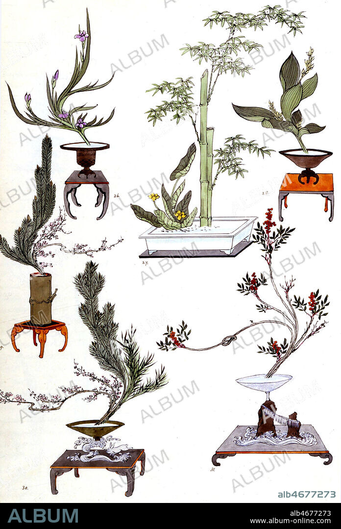 Art floral japonais, presentation de bouquets ou de bonsais. Exemples de fleurs japonaises 1904. Credit : ©Topham Picturepoint / Museum-Images /KHARBINE TAPABOR - 20040901_0933.