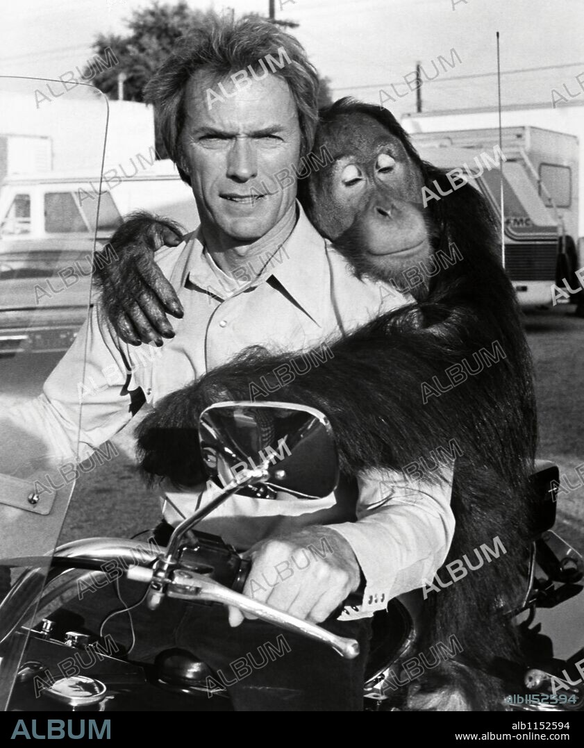CLINT EASTWOOD en DURO DE PELAR, 1978 (EVERY WHICH WAY BUT LOOSE), dirigida por JAMES FARGO. Copyright WARNER BROTHERS.