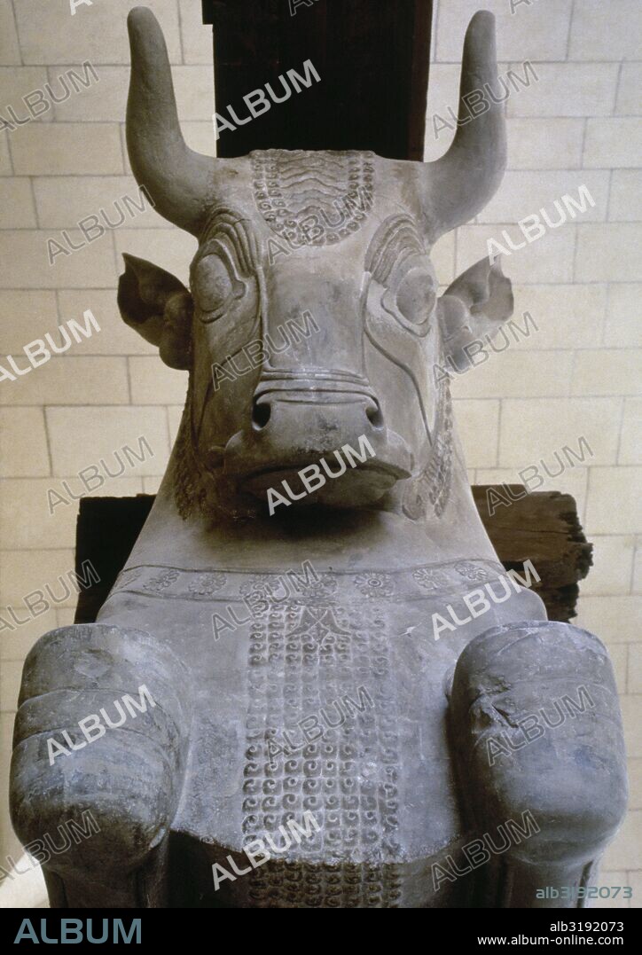 ARTE PERSA-AQUEMENIDA. CAPITEL CON CABEZA DE TORO (siglos VI-IV a. C.), procedente de la Apadana (Sala de Audiencia) del palacio de Dario I. Susa. Realizado en piedra caliza. Museo del Louvre. París. Francia.