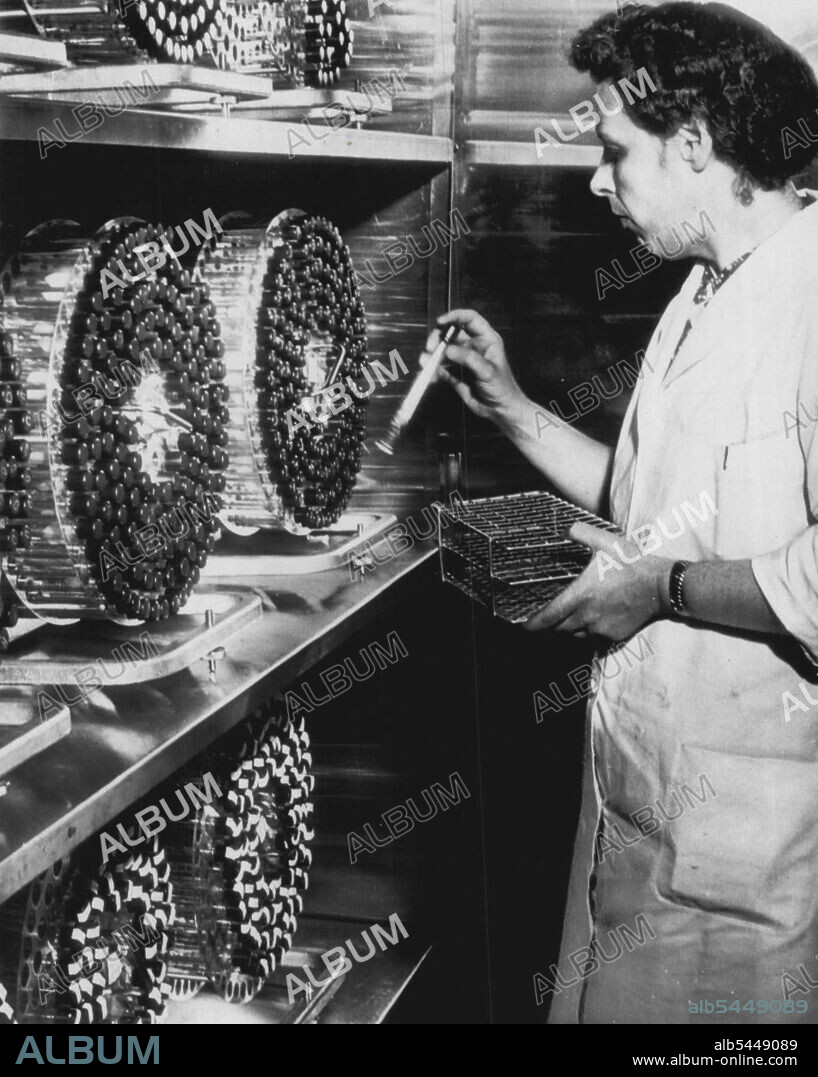 Virus Farm Polio Vaccine -- Miss Elsie N. Ward of the University of Pittsburgh school of medicine unloads from a revolving drum tubes containing viruses being prepared for use as a polio vaccine which has been tested successfully on 90 children and adults. Use of the vaccine against all forms of polio was announced tonight by Dr. Jonas E. Salk, 38, professor of research bacteriology of the University of Pittsburgh. March 26, 1953. (Photo by AP Wirephoto).