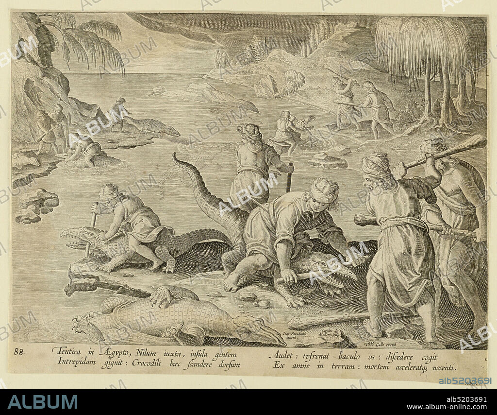 Crocodile Hunt in Tentyra, in Egypt, plate 30 from the Venationes Ferarum, Avium, Piscium series, Jan van der Straet, called Stradanus, Flemish, 15231605, Karel van Mallery, Philips Galle, Flemish, 1537 - 1612, Black ink on paper, Horizontal rectangle. The jaws of the crocodiles are pried open and a stick inserted to render them helpless while they are clubbed to death. At lower right, in the foreground, one man sits astride a crocodile, holding the stick in place, while two others prepare to use their clubs. Near lower right: 'Ioan. Stradanus / invent..Carolus de / Mallery Sculp.; Phls Galle excud.' Below: 'TENTIRA IN AEGYPTO...', Netherlands, 1596 or after, figures, Print, Print.