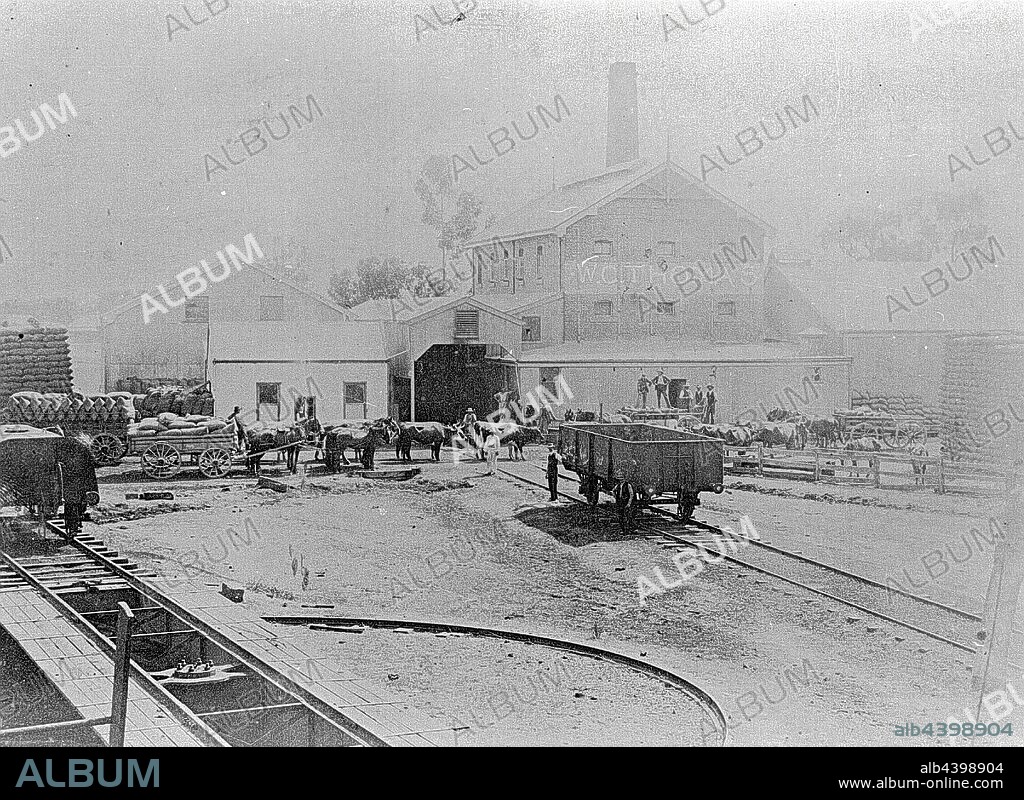 Negative - Railway Station Yards, Warracknabeal, Victoria, circa 1895, Rail yards at Warracknabeal Station. There are bags of grain stacked in the yard, and goods trucks parked nearby. Carts drawn by bullocks and horses are visible, also loaded with grain (probably wheat).