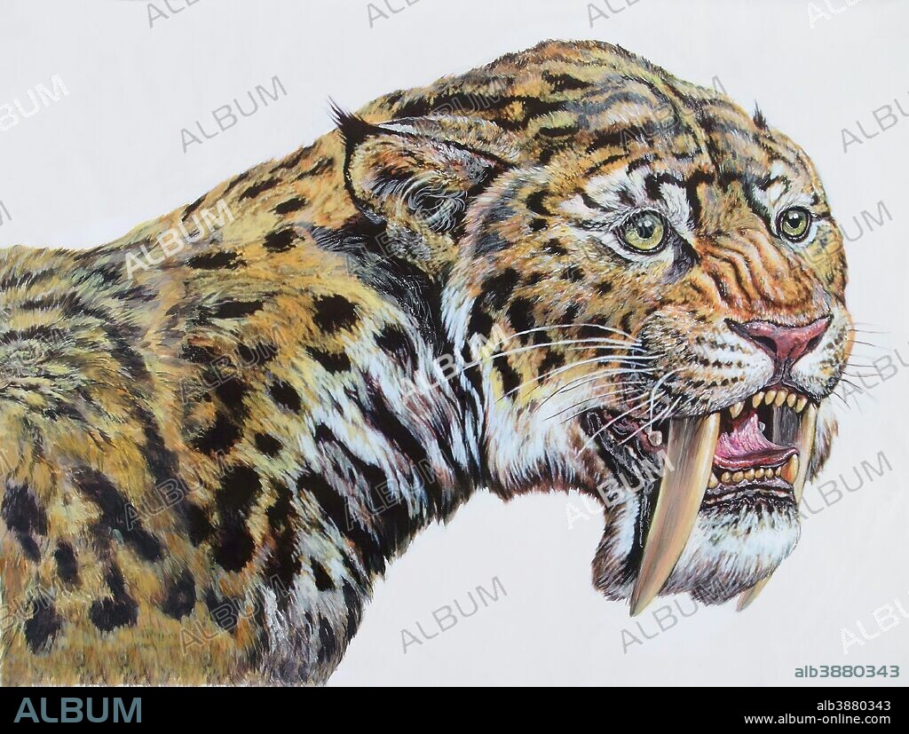 Close-up headshot of Megantereon (early sabertooth), Pliocene Epoch of Europe, Asia, and North America.