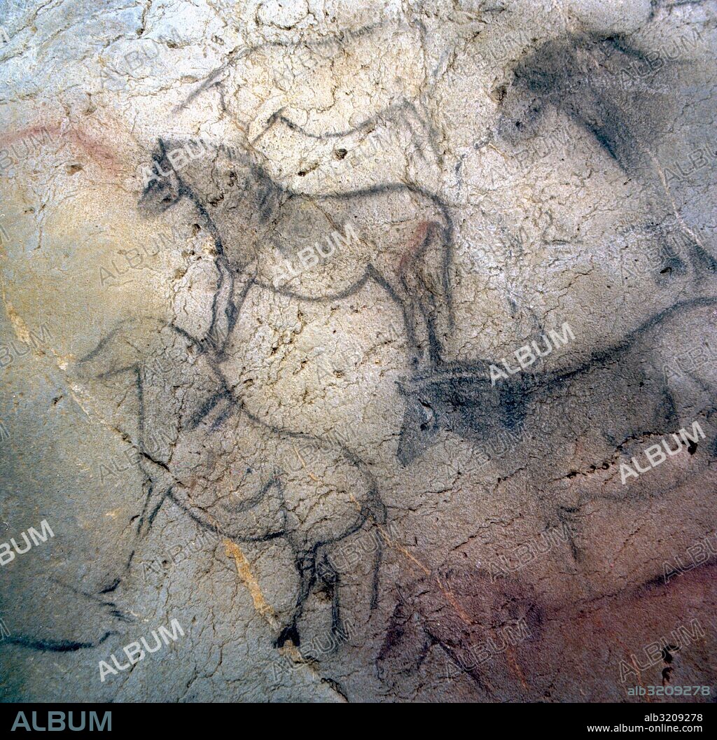 CUEVA DE EKAIN. GALERIA DE ZALDEI O DE LOS CABALLOS: VARIAS PINTURAS DE CABALLOS Y DETALLES.  DEVA, GUIPUZCOA, PAIS VASCO, ESPAÑA.